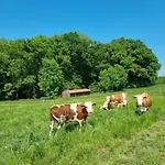 Eiselehof In Alleinlage *