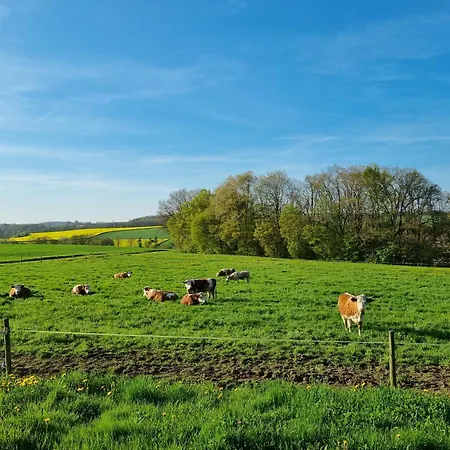 Eiselehof In Alleinlage *