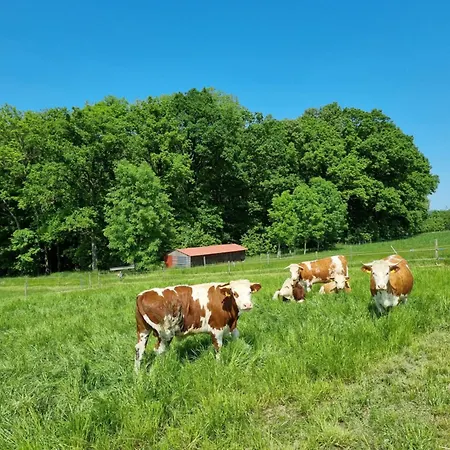 Eiselehof In Alleinlage *