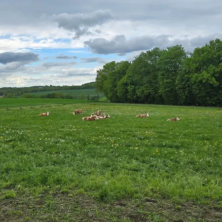 Apartman Eiselehof In Alleinlage *